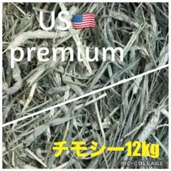 Item thumbnail for item 6c21b90c-f576-4904-ab49-a9426c138f15