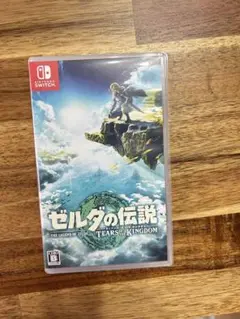 ゼルダの伝説 ティアーズ オブ ザ キングダム　Switch