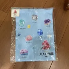 【新品未開封】　大人の図鑑　巾着袋
