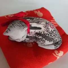 Item thumbnail for item 6134d027-1472-4b17-bbdc-9e7b4c27b0f5