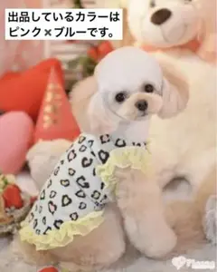 【三連休限定値下げ！】godpiva クール　レオパードワンピース