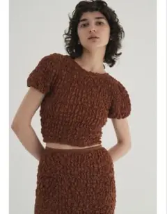 CLANE W FACE SHIRRING CROPPED TOPS size2