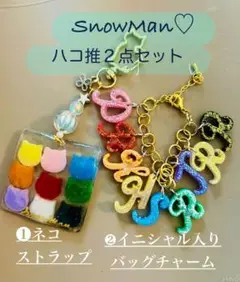 Snow Man 推し活キーホルダー　レジンストラップ　バッグチャーム