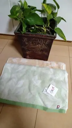 【新品】今治タオル2点セット