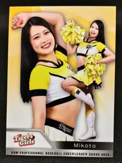 Item thumbnail for item 335fcded-37fc-41e4-86c3-c97c959c63c2