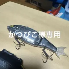 mir.Jr.