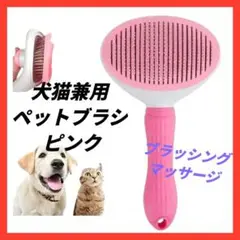 Item thumbnail for item 3916052c-5855-406b-aa65-08eb75aec6f1