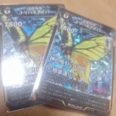 蟲神器 ゴクラクトリバネアゲハ 2枚