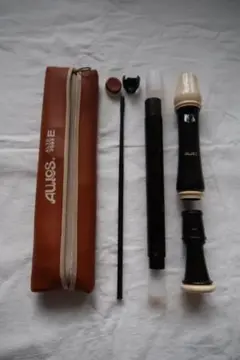 Item thumbnail for item 7299e113-860d-4bb4-aa68-3c5721294087