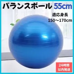 【新品未使用】バランスボール ヨガ 55cm ブルー フィットネス ジム