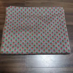 Item thumbnail for item 6bf524b9-fc2b-42e9-9b46-b9c6f11988a7