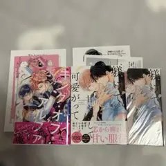 BLコミック 2冊セット