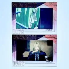 神々廻2種セット　箔押しクリアカード　ロフト　サカモトデイズ　プラザ