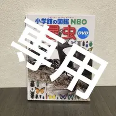 専用
