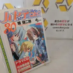 【限定版】ハヤテのごとく! 30