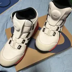 Item thumbnail for item 020337b1-06a3-4ff8-9570-2b69a12f4b38