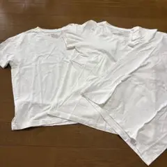 無印　半袖Tシャツ 3枚セット