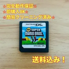 New スーパーマリオブラザーズ DS