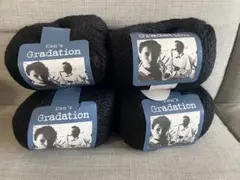 Men's Gradation 毛糸 100g 175m