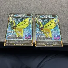 蟲神器　LR ゴクラクトリバネアゲハ　セット