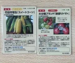 Item thumbnail for item 4b56df1e-b0e8-42c4-85ca-38b9daf1bd61