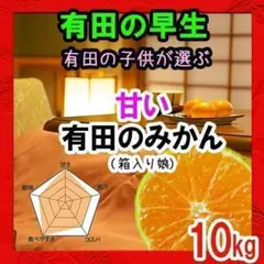 【箱入り娘(早生)】これぞ有田みかん 甘くておいしい!とリピ続出!10kg