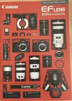 Item thumbnail for item 53797e78-e9bd-4cd3-a2e6-fd3ad179416a