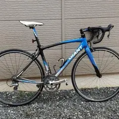 GIANT DEFY ALLIANCE エンデュランス ハイブリッドカーボン