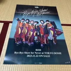 2025年最新】bye-bye show ポスターの人気アイテム - メルカリ