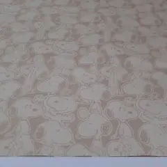 レア生地★約110㎝×50㎝【難有り】
