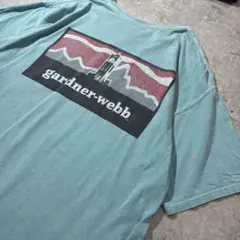 コンフォートカラーズ Gardner-Webb大学 ロゴTシャツ アートT