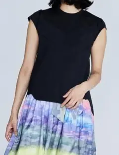 DOUBLE STANDARD CLOTHING 切り替えデザインTシャツSOV
