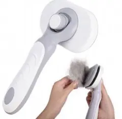 Item thumbnail for item 2b8ec4bf-3ed0-4968-8139-0019a2d9a1d5