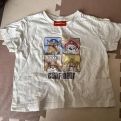 パウパトロール Tシャツ サイズ120
