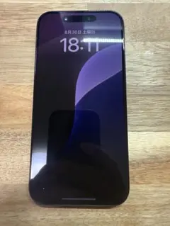 iPhone 15 Pro 256GB SIMフリー