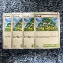 ポケモンカード　活力の森　4枚