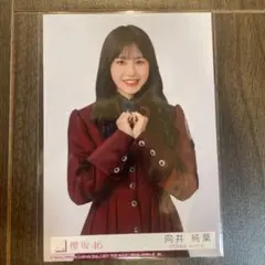 櫻坂46 向井純葉 生写真 IWTC(新品未開封)