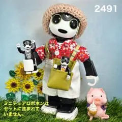 #2491 ロボホン 着せ替え服セット