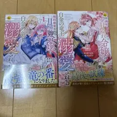 婚約破棄された目隠れ令嬢は白金の竜王に溺愛される　全2巻