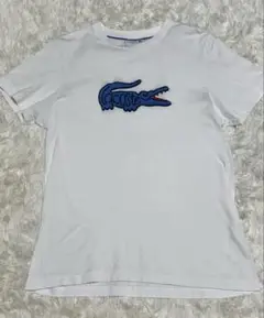 LACOSTE ラコステ　ビックロゴ　Tシャツ レギュラーフィット
