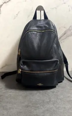 【美品✨チャーム付き】COACH リュック　BACK PACK F30550 黒 2025年最新】コーチ リュック f30550の人気アイテム - メルカリ