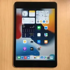 美品 iPad mini 4 16GB バッテリー良好 iPad mini4