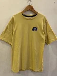 PATAGONIAパタゴニア　レスポンスシビリティTシャツ Sサイズ