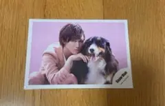 Snow Man阿部亮平　キッシン　公式写真　犬