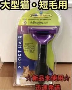Item thumbnail for item 09f2b74a-cc7d-491c-9a27-7cf1e86535c5