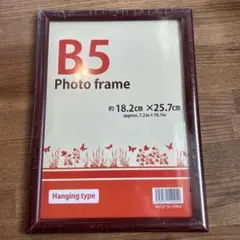 ダイソー フォトフレーム B5 シンプルフレーム