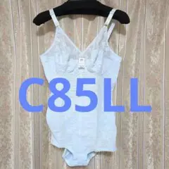 Item thumbnail for item 777c7aff-bdbe-475e-8273-2807ba694762