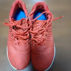 Item thumbnail for item f10cb246-dbec-4edb-bfce-9211c015495b