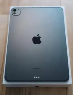 iPad Pro M4 セルラー 256GB SIMフリー