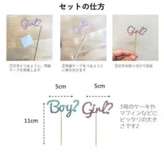 Boy? Girl? ケーキトッパーセット